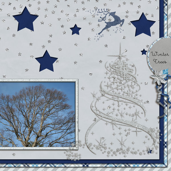 Winter Trees