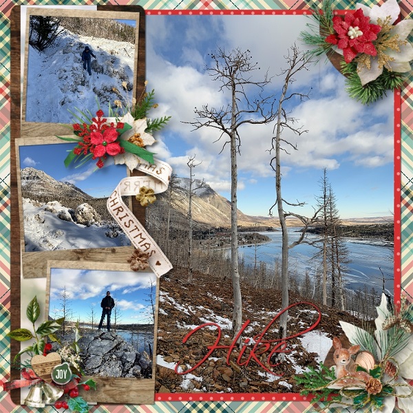 Winter Trip