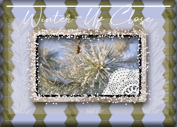 Winter - Up Close