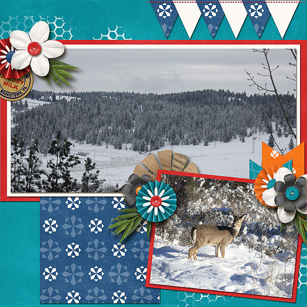 Winter View