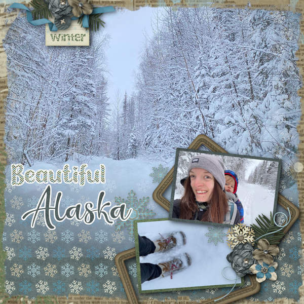 Winter Views