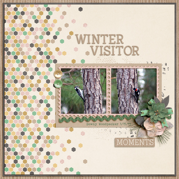 Winter Visitor