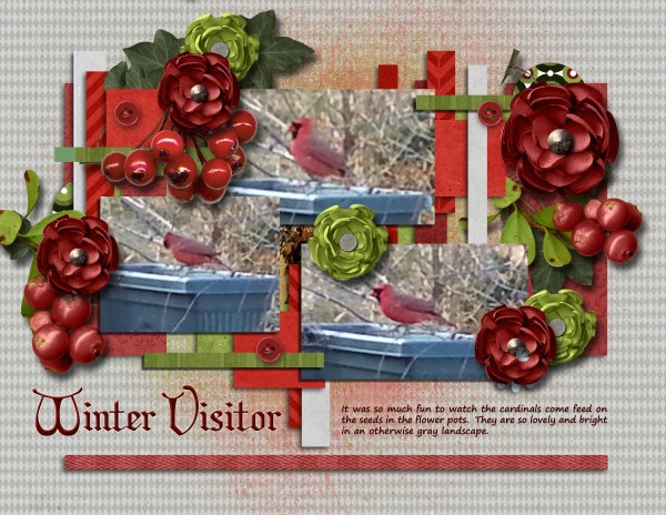 Winter Visitors