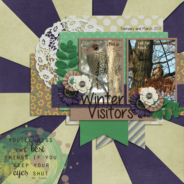 Winter Visitors