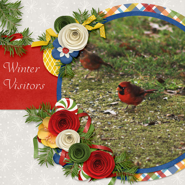 Winter Visitors