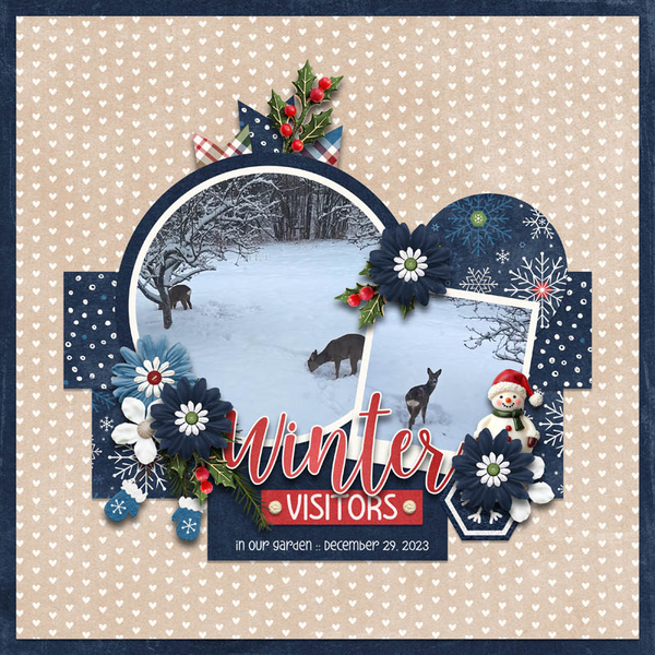 Winter Visitors