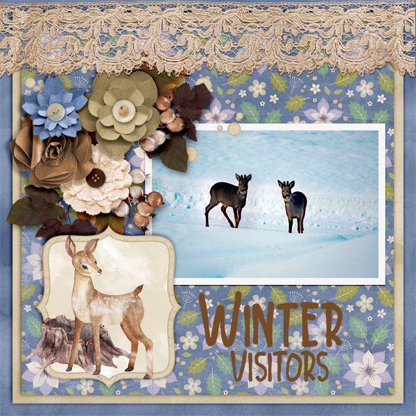 Winter-visitors2