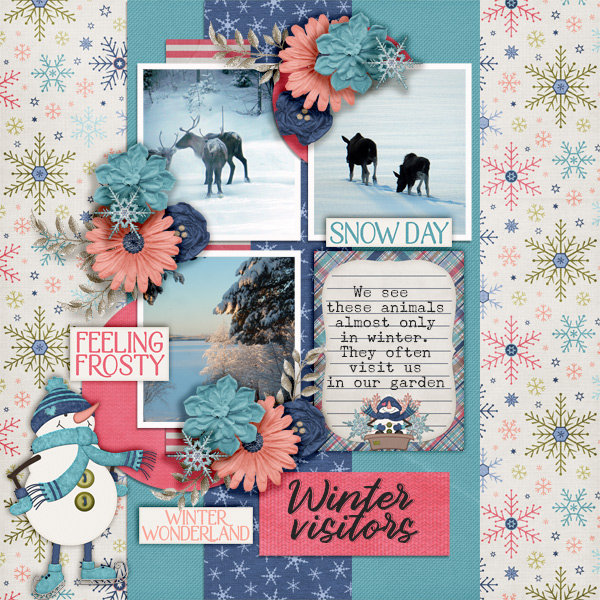 Winter-visitors3