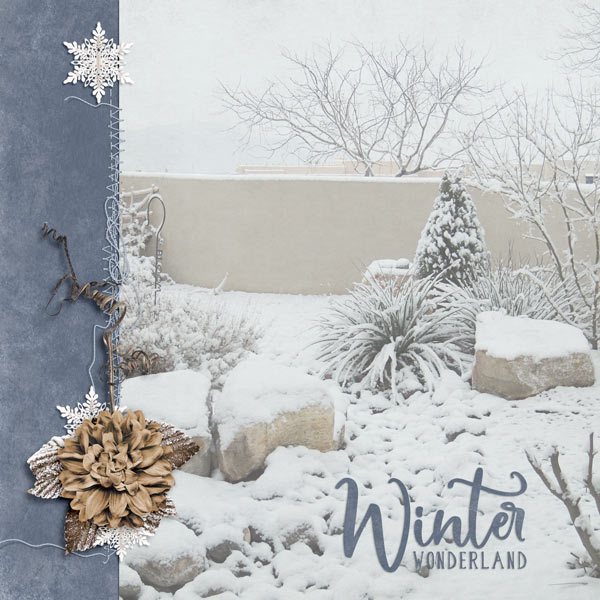 Winter wa challenge