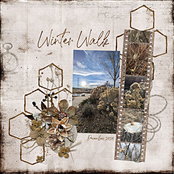 Winter Walk - Early December 2024