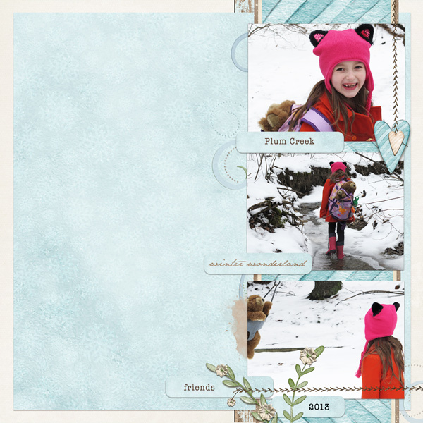 winter walk in the woods