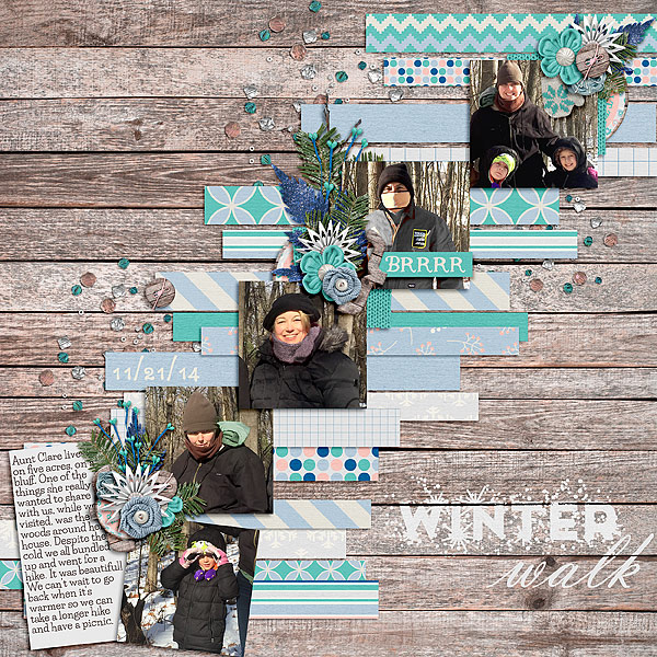 Winter Walk