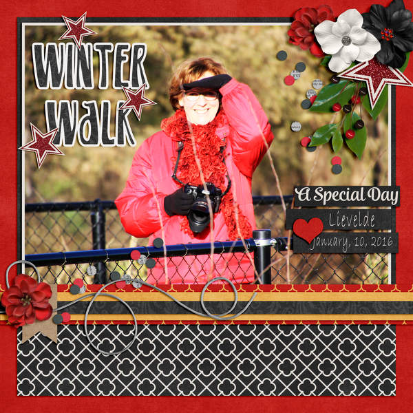 Winter walk