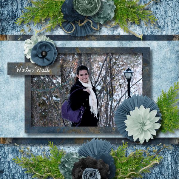 Winter Walk