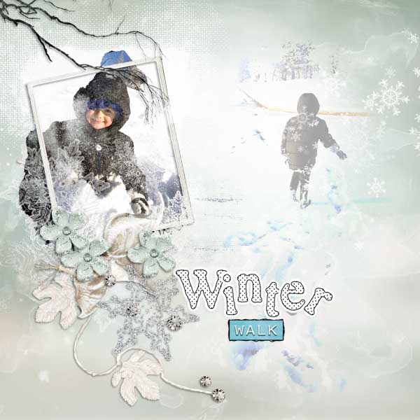 Winter Walk