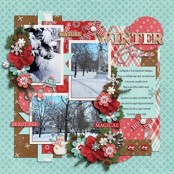 Winter walk