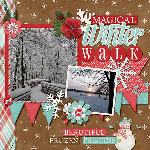 Winter Walk