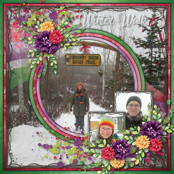 Winter Walk