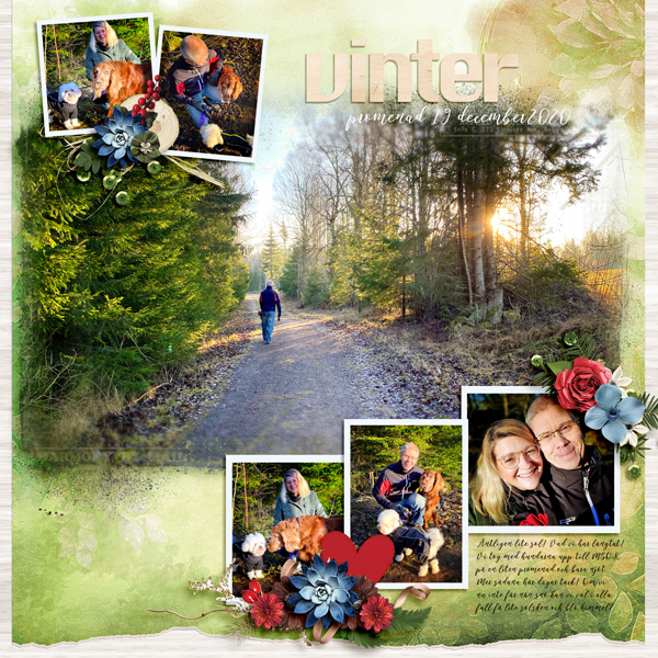 Winter Walk