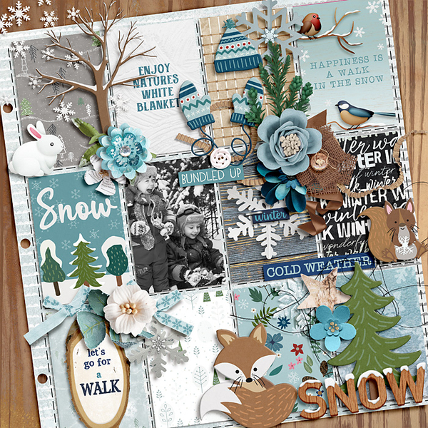 Winter walk