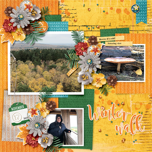 Winter walk