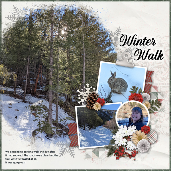 Winter Walk