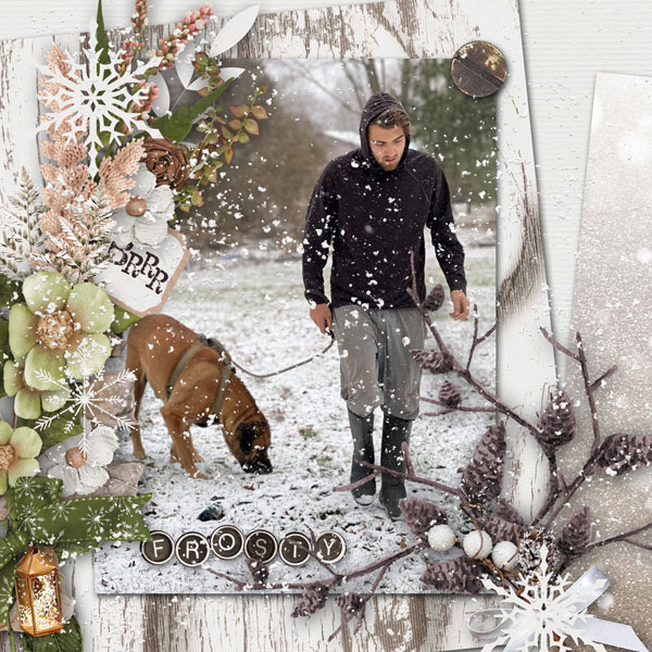 winter walk