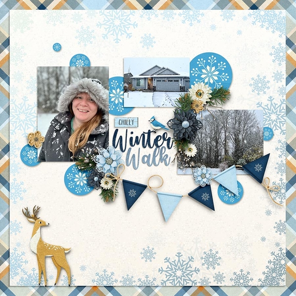 Winter Walk