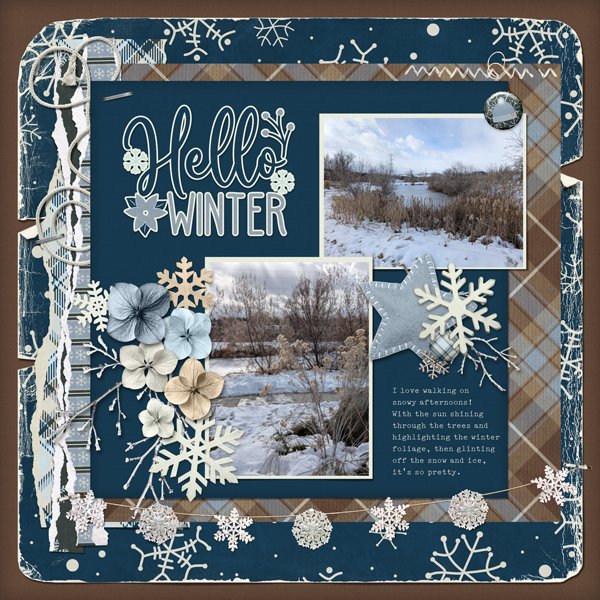 Winter Walk