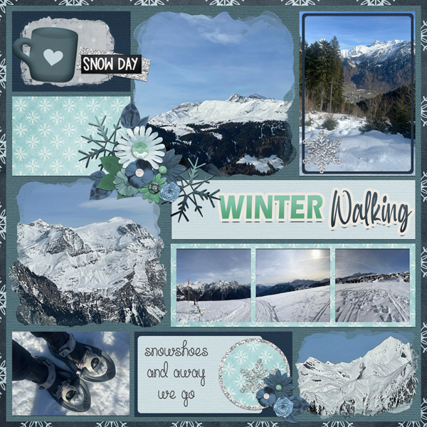 Winter Walking I