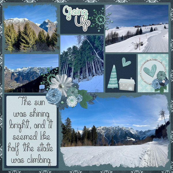 Winter Walking III