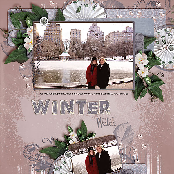 Winter Watch