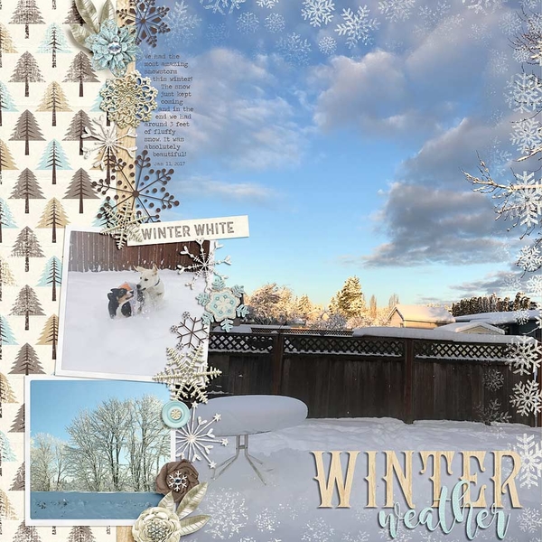 ~Winter Weather~
