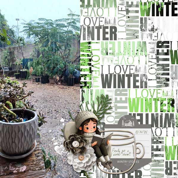 winter-webv.jpg