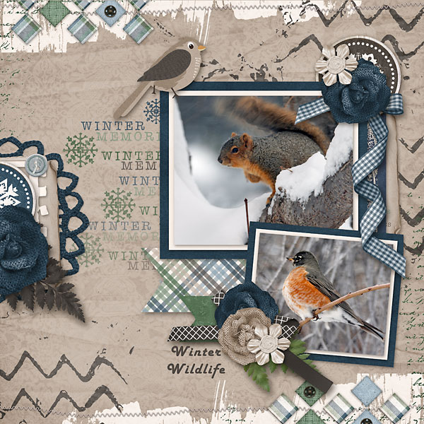 Winter-wildlife-copy