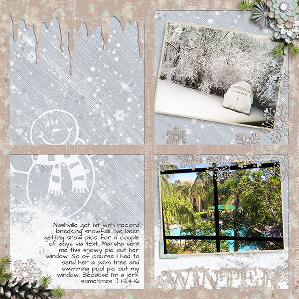 Winter window