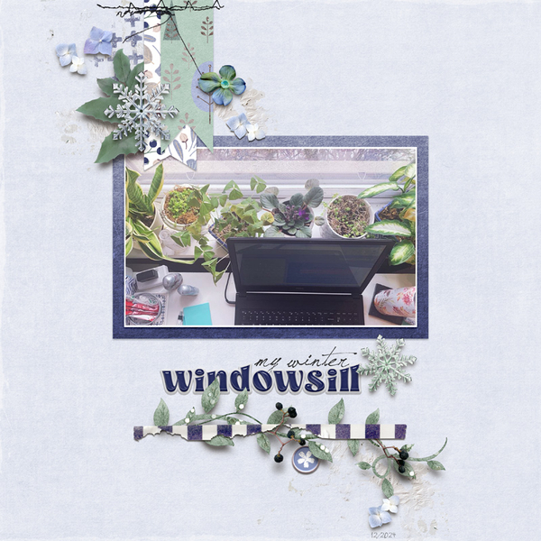winter Windowsill