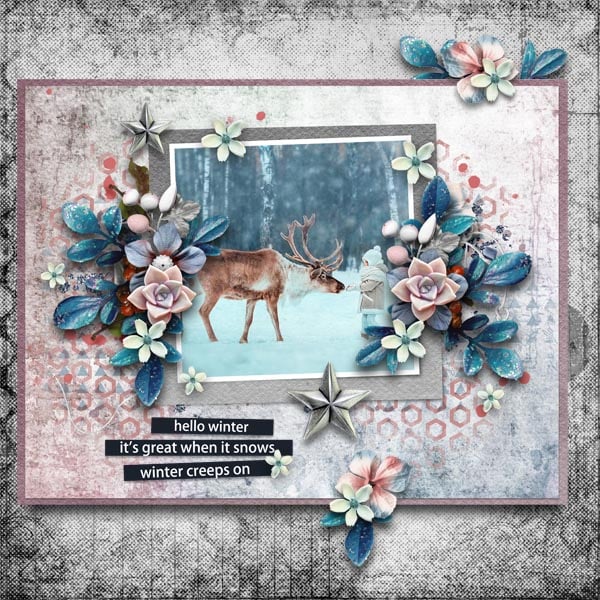 Winter Wish