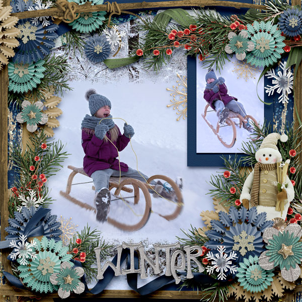 Winter Wishes