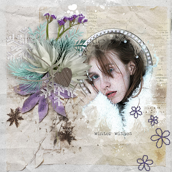 winter wishes