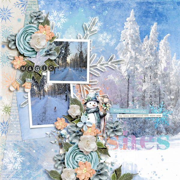 Winter Wishes