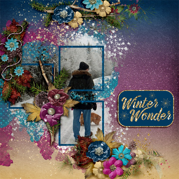 Winter-wonder