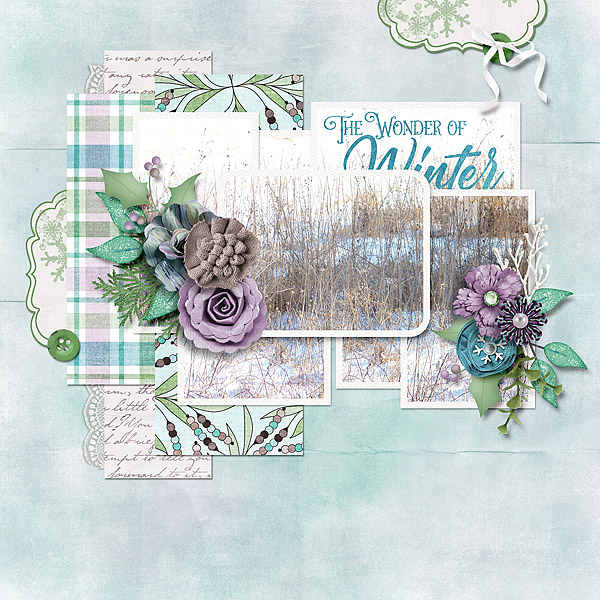 Winter Wonder
