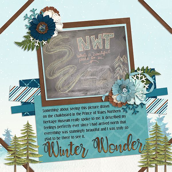 Winter Wonder