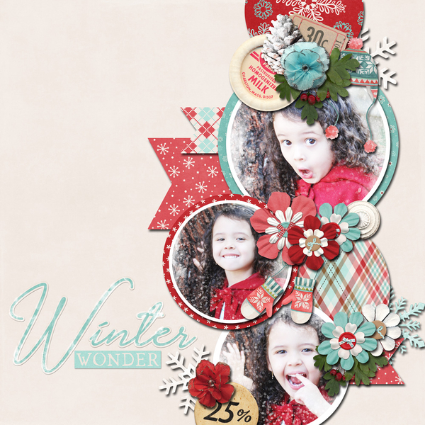 Winter Wonder