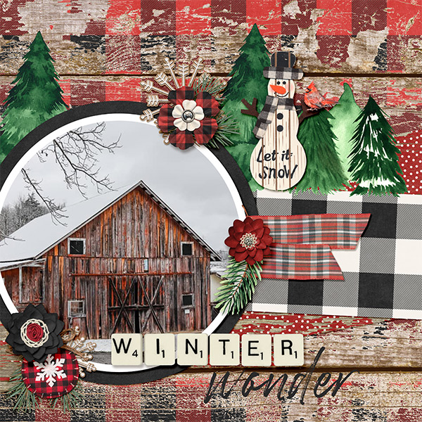 Winter Wonder