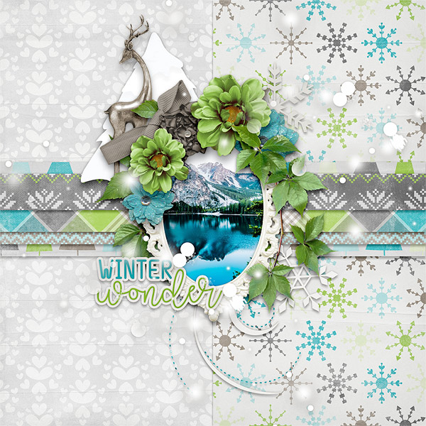 Winter Wonder