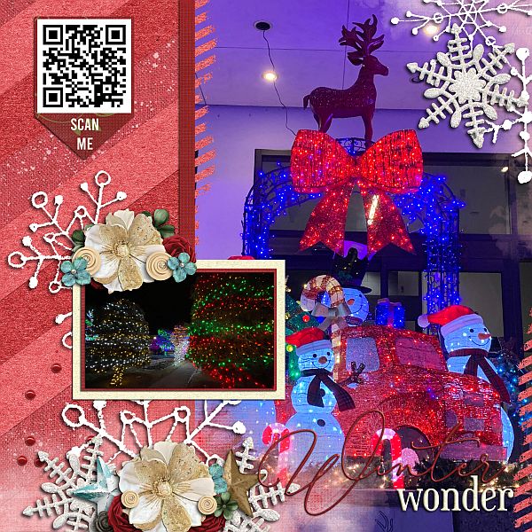 Winter Wonder