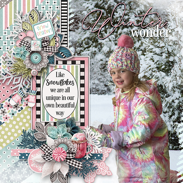Winter Wonder