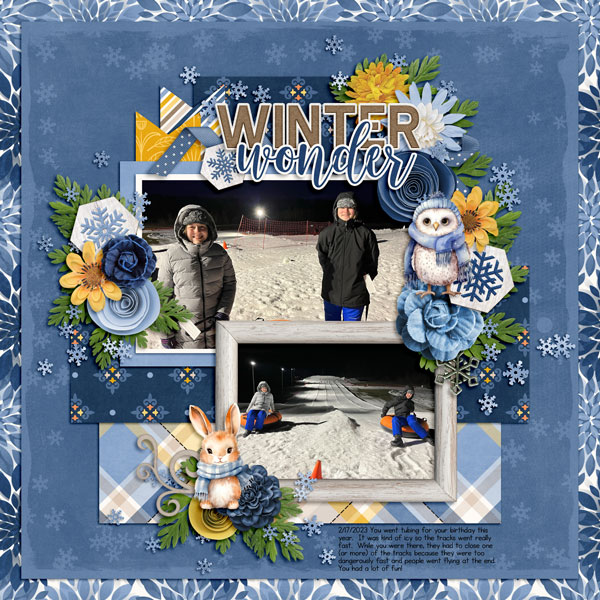 Winter Wonder